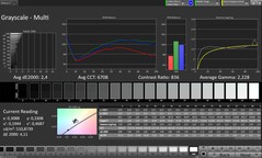 CalMAN: Skala szarości