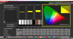 Calman ColorChecker (profil: sRGB, docelowa przestrzeń kolorów: sRGB)