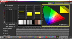 CalMAN ColorChecker (profil: P3, docelowa przestrzeń kolorów: P3)