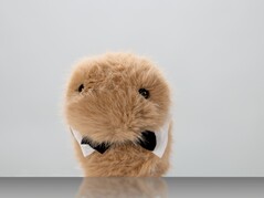 Dieter (Źródło zdjęcia: ZKM Karlsruhe)