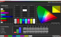Przestrzeń kolorów (docelowa przestrzeń kolorów: sRGB)