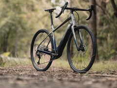 Rower Marin Bikes Lombard E jest wyposażony w silnik Bosch SX Spring (źródło zdjęcia: Marin Bikes)