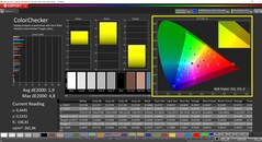 CalMAN ColorChecker skalibrowany (docelowa przestrzeń barw P3)