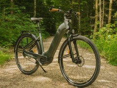 Decathlon Rockrider E-ACTV 900 (na zdjęciu) jest jednym z rowerów elektrycznych, których dotyczy niedawne wycofanie. (Źródło zdjęcia: Decathlon)