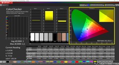 CalMAN ColorChecker skalibrowany