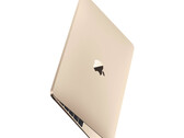 Nie ma konkretnych dowodów sugerujących, że prace nad nowym 12-calowym MacBookiem są w toku. (Źródło obrazu: Apple)
