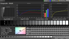 Skale szarości CalMAN