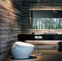 Japoński producent toalet może odnieść ogromne korzyści z trwającego boomu na sztuczną inteligencję