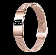 (Źródło obrazu: Rogbid)