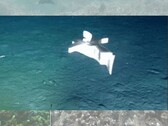 Obraz robota na dnie oceanu (źródło obrazu: zespół badawczy; edytowane)
