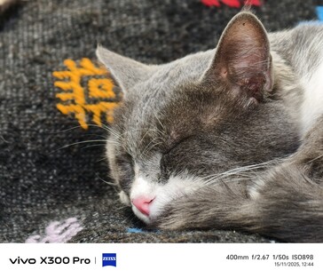 Vivo X300 Pro 400 mm z telekonwerterem.