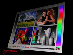 Panel OLED...