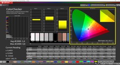 CalMAN ColorChecker (profil: Display P3, docelowa przestrzeń kolorów P3)