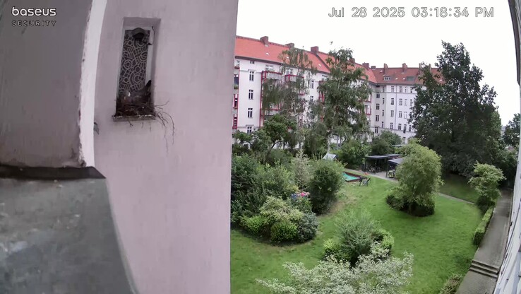Umiarkowana jakość obrazu 4K