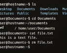 Linux from Scrach 12.4 utrzymuje CLI przy życiu, ale oferuje ścieżki dla w pełni funkcjonalnej, samodzielnie zbudowanej dystrybucji (Źródło obrazu: Wygenerowano przy użyciu OpenAI)
