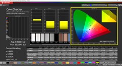 CalMAN ColorChecker (profil: P3, docelowa przestrzeń kolorów: P3)