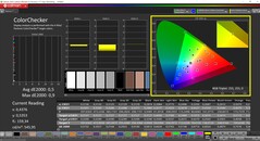 CalMAN ColorChecker (profil: Vivid, docelowa przestrzeń kolorów: P3)