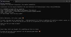 FastFlowLM w Windows PowerShell