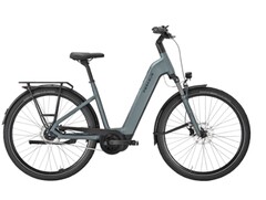 Mocny EVO 5F Lite: E-bike można załadować dużą ilością bagażu. (Źródło zdjęcia: Pegasus)