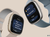 Możesz teraz używać Google Wallet do dokonywania płatności zbliżeniowych na swoim smartwatchu Fitbit Sense 2 lub Versa 4. (Źródło obrazu: Fitbit)