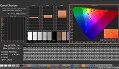 CalMAN: ColorChecker (kalibrowany)