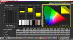 CalMAN ColorChecker skalibrowany (docelowa przestrzeń kolorów: P3)