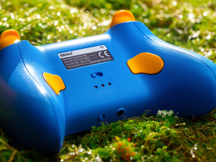 (Źródło obrazu: 8BitDo)