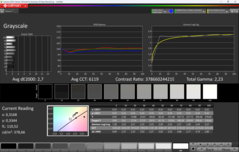 Skala szarości CalMAN (profil: sRGB)