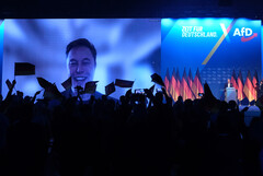 Gwałtowny spadek sprzedaży Tesli w Europie: Działalność polityczna Elona Muska wydaje się szkodzić firmie