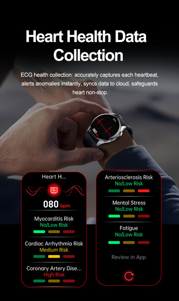 (Źródło obrazu: Rogbid)