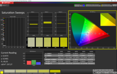 Pomiary nasycenia CalMAN