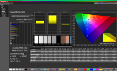 ColorChecker przed kalibracją (P3)
