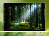 MateBook Pro S jest jednym z najlżejszych 14-calowych laptopów dostępnych na rynku.