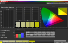 CalMAN Nasycenie skalibrowane