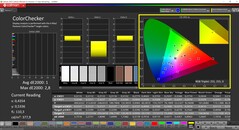 CalMAN ColorChecker (profil: Display P3, docelowa przestrzeń kolorów: P3)