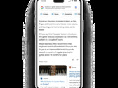 Google Bard może destylować informacje, aby zaoferować znaczące spostrzeżenia w wyszukiwaniu konwersacyjnym. (Źródło obrazu: Google)