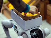 Robot humanoidalny T1, który może przekształcić się w robota-psa