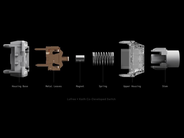 Widok rozstrzelony przełącznika Nexus.
