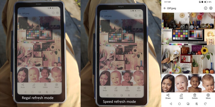 Tryby Regal i Speed w bezpośrednim świetle porannego słońca.