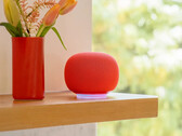 Głośnik Google Home w wersji Berry. (Źródło obrazu: Google)