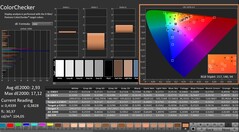 CalMAN: ColorChecker (skalibrowany)