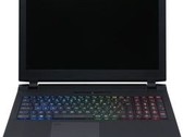 Clevo P750TM1-G