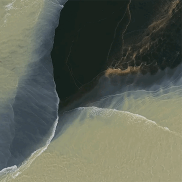 Wczesny wyciek tapety Pixel 11 Pro Fold pokazujący jego wygląd Pine, Tidal Swirl