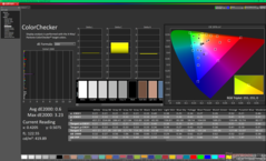 ColorChecker po kalibracji (P3)