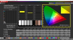 CalMAN ColorChecker (profil: sRGB, docelowa przestrzeń kolorów: sRGB)