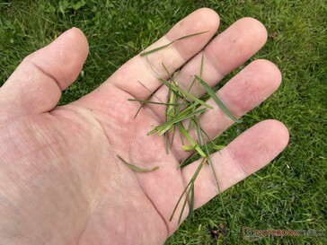 ...niż oczekiwaliśmy od reklamowanej funkcji mulczowania.