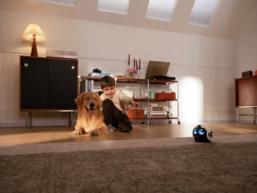 Zwierzę towarzyszące 