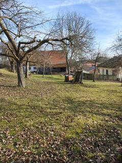 Główny aparat (bez zoomu)