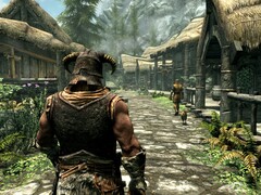 Obraz z gry The Elder Scrolls V: Skyrim. (Źródło obrazu: Steam)