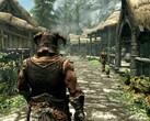 Obraz z gry The Elder Scrolls V: Skyrim. (Źródło obrazu: Steam)